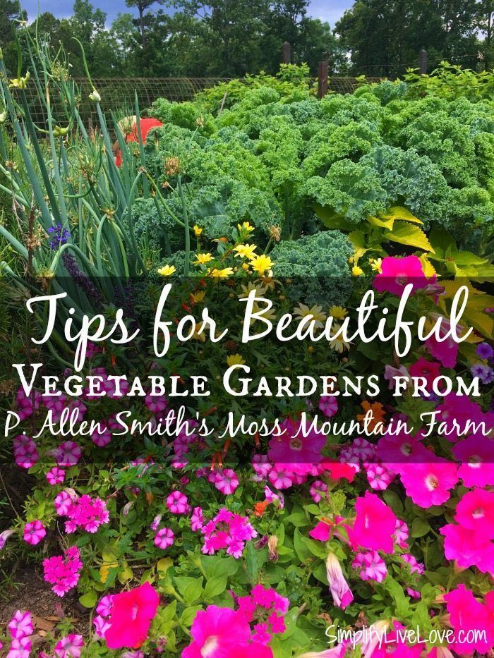 colorful garden with flowers and plants in the foreground text reads tips for beautiful vegetable gardens from allen smith, miss mountain farm