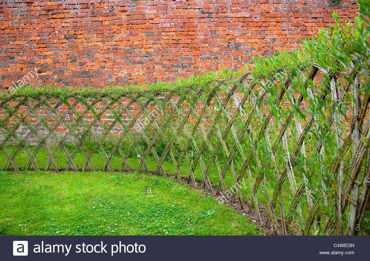 an old brick wall and green grass next to a wooden trellis in front of it