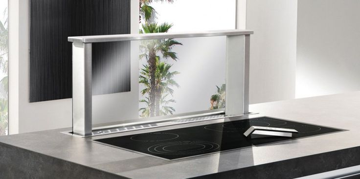 a stove top with a glass door on it's side and a palm tree in the background