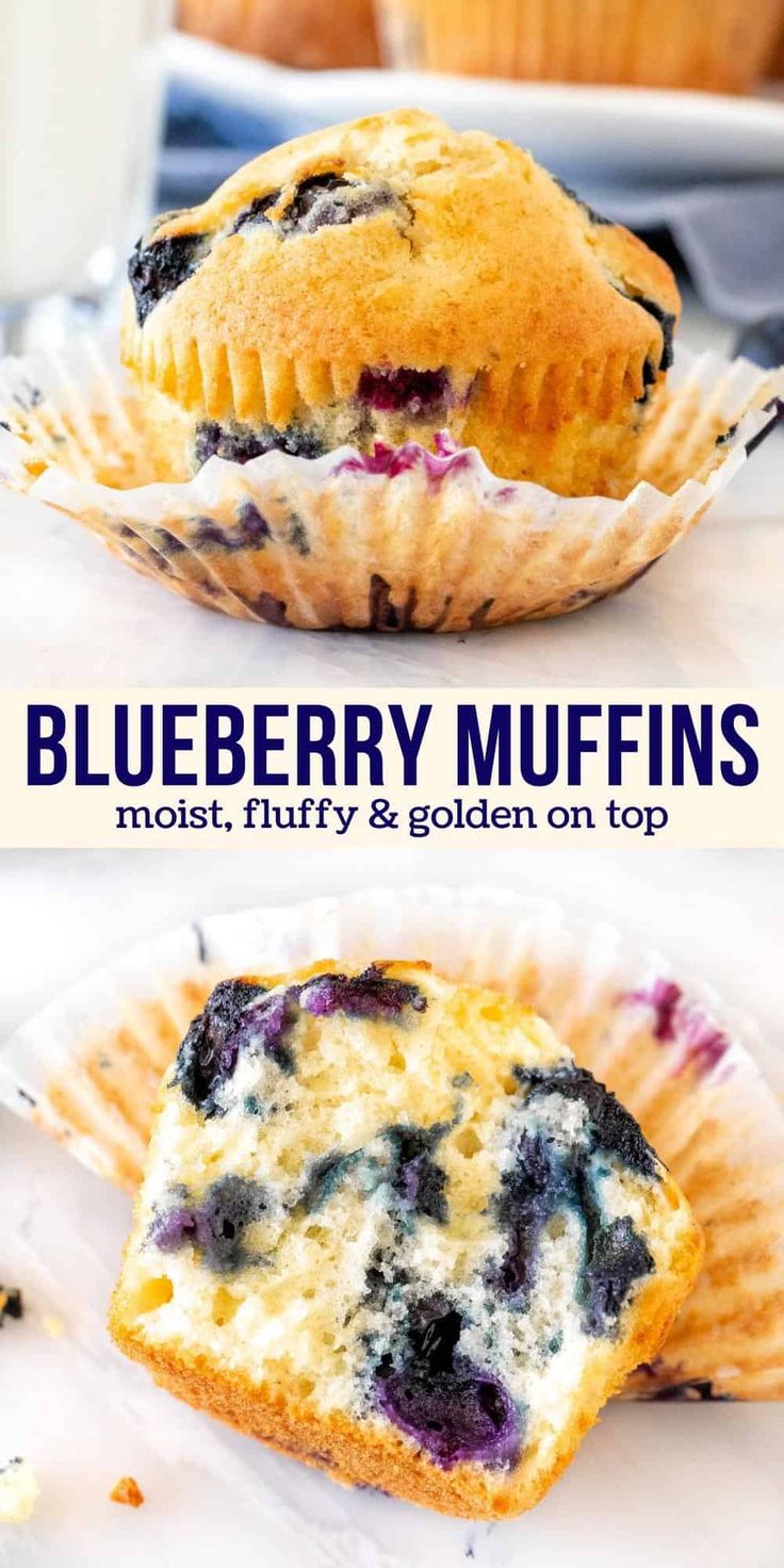 blueberry muffins are the most fluffy and golden on top they're so good to eat