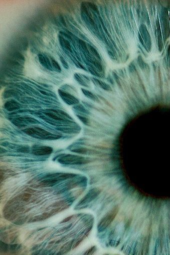 the iris of an eye is shown in close up