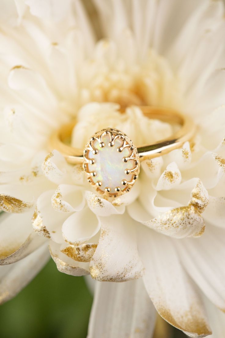 a white flower with a gold ring on it