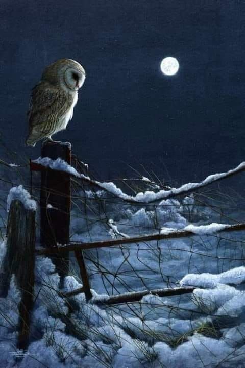 an owl sitting on top of a fence post in the snow at night with a full moon behind it