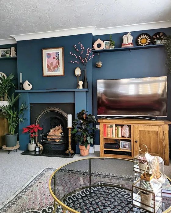 a living room with blue walls and a fire place in the center, surrounded by potted plants