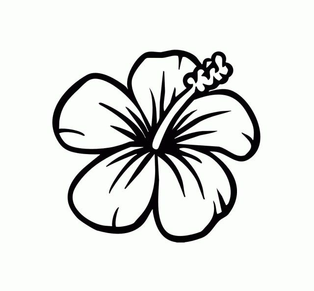 a black and white drawing of a flower