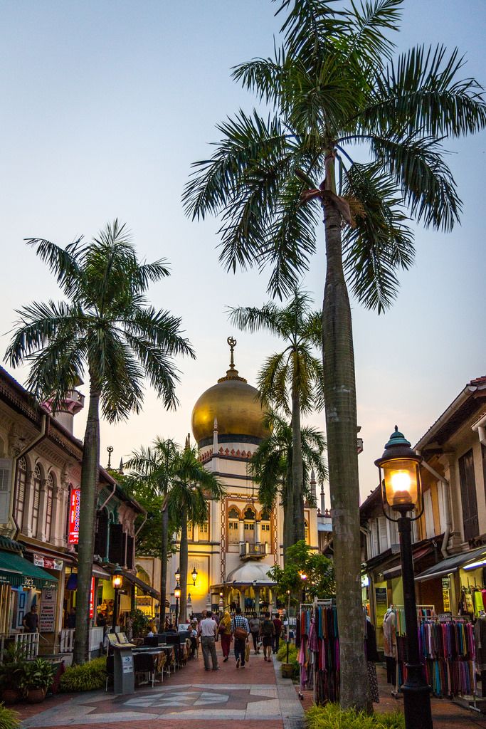 palm trees line the street in front of buildings and shops at dusk, with people walking by