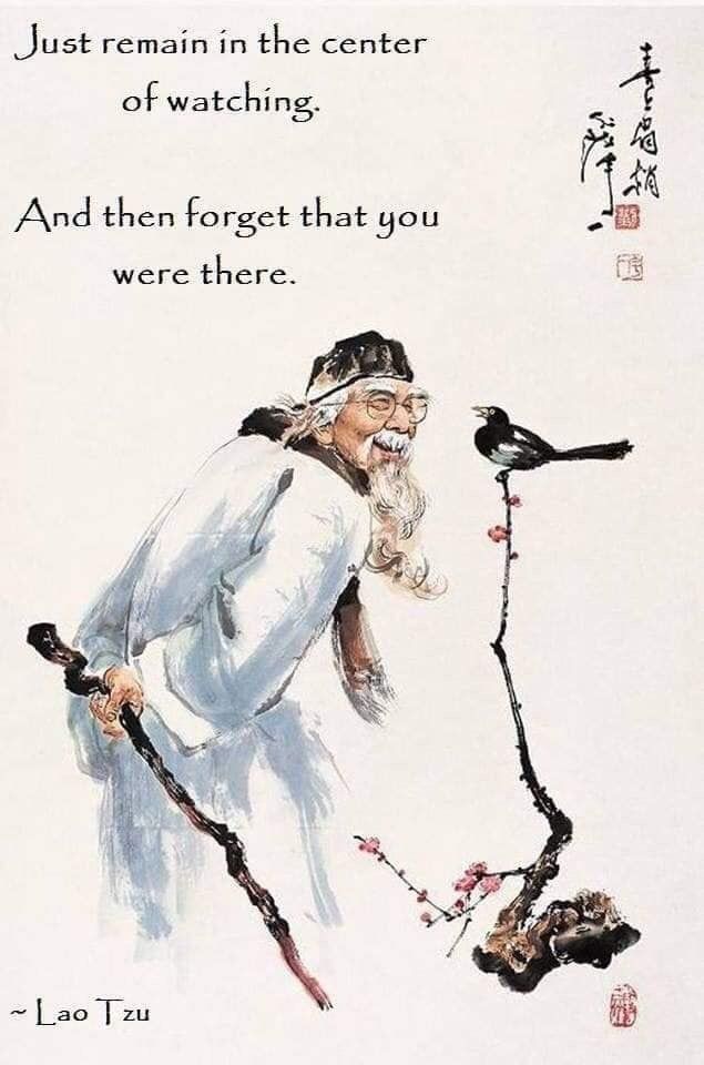 an old man with long white hair is holding two birds on his hand and the words, just remain in the center of watching and then forget that you were there