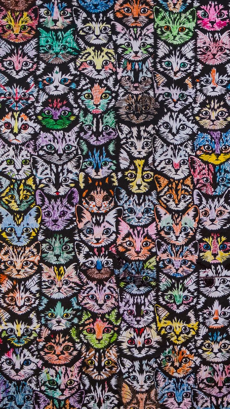 an image of many different cats on a black background with multicolored images in the middle