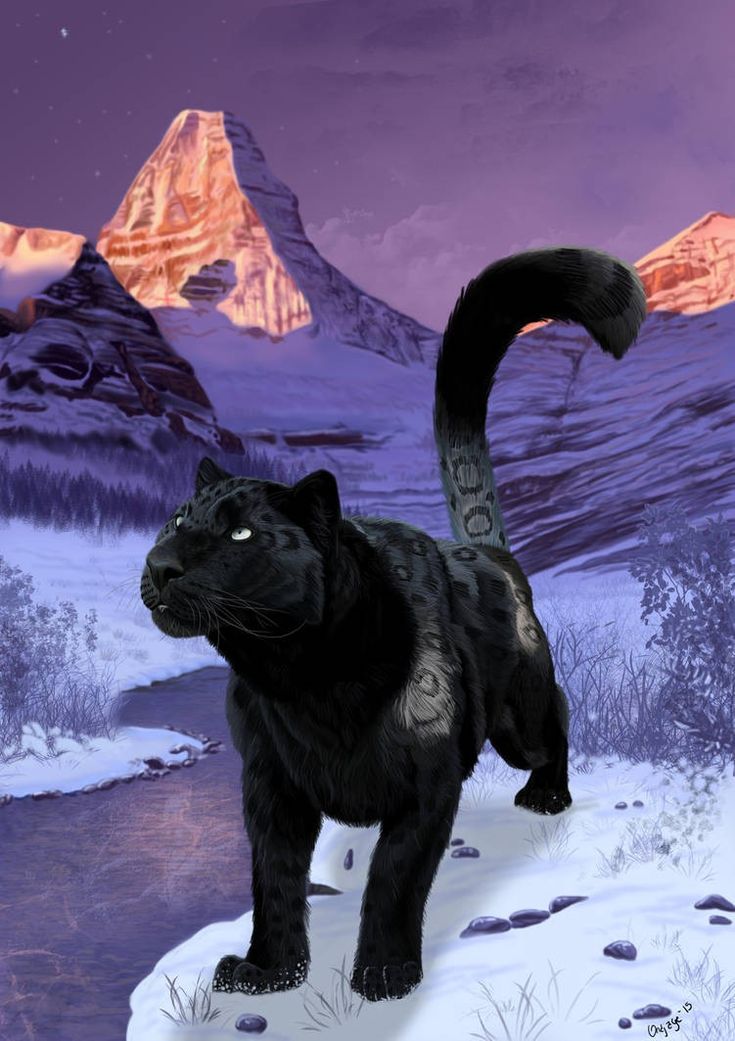 a black cat standing on top of a snow covered ground next to a mountain range