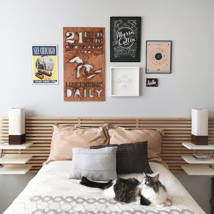 a cat laying on top of a bed in a bedroom next to a wall with posters