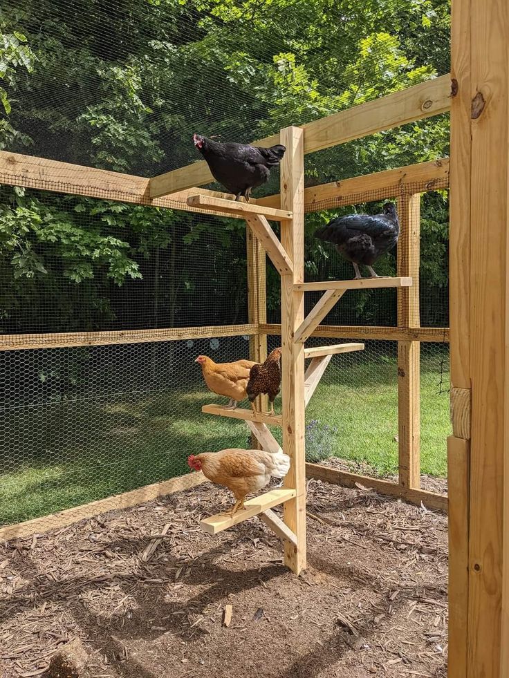 chickens are climbing up and down the ladders in an outdoor chicken coop that is made from wood