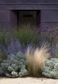 purple and green plants are in front of a building with an open door on the side