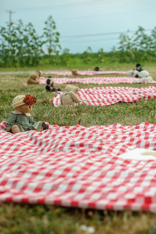 several teddy bears are laying on red and white checkered picnic blankets in the grass