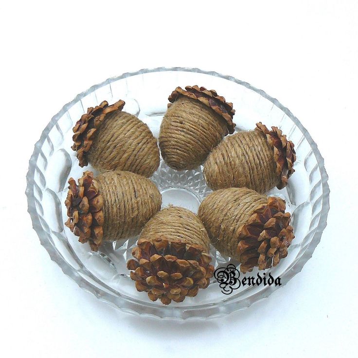 some pine cones are sitting on a glass plate with twine wrapped around the ends