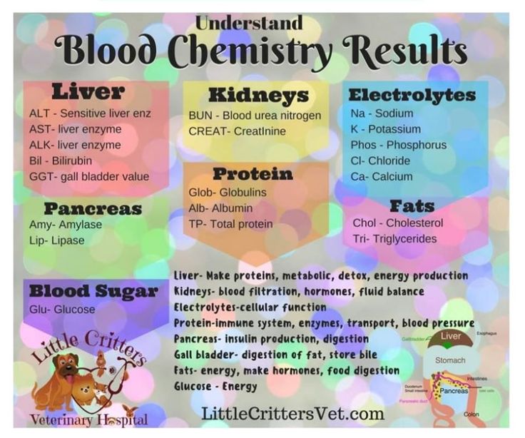 a poster with the words blood chemistry results on it and pictures of different types of animals