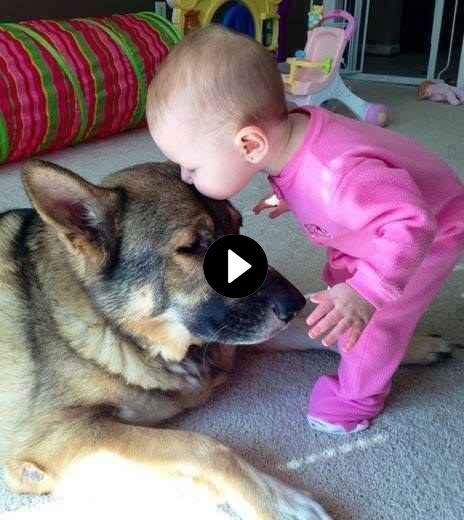 a baby is playing with a dog on the floor