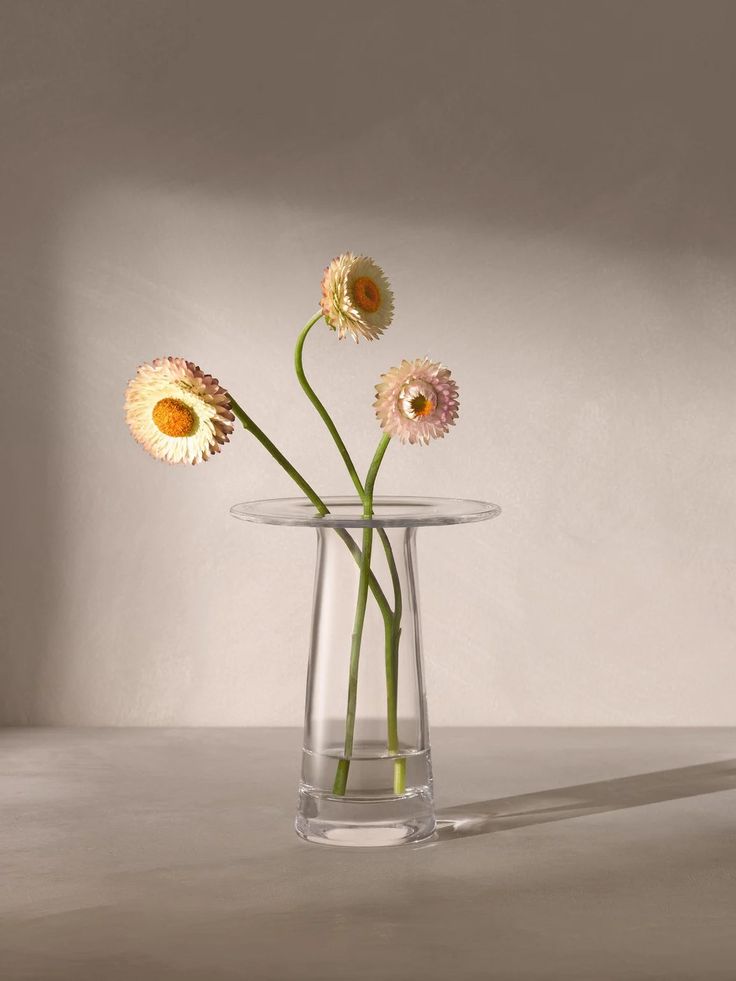 three flowers in a glass vase on a table