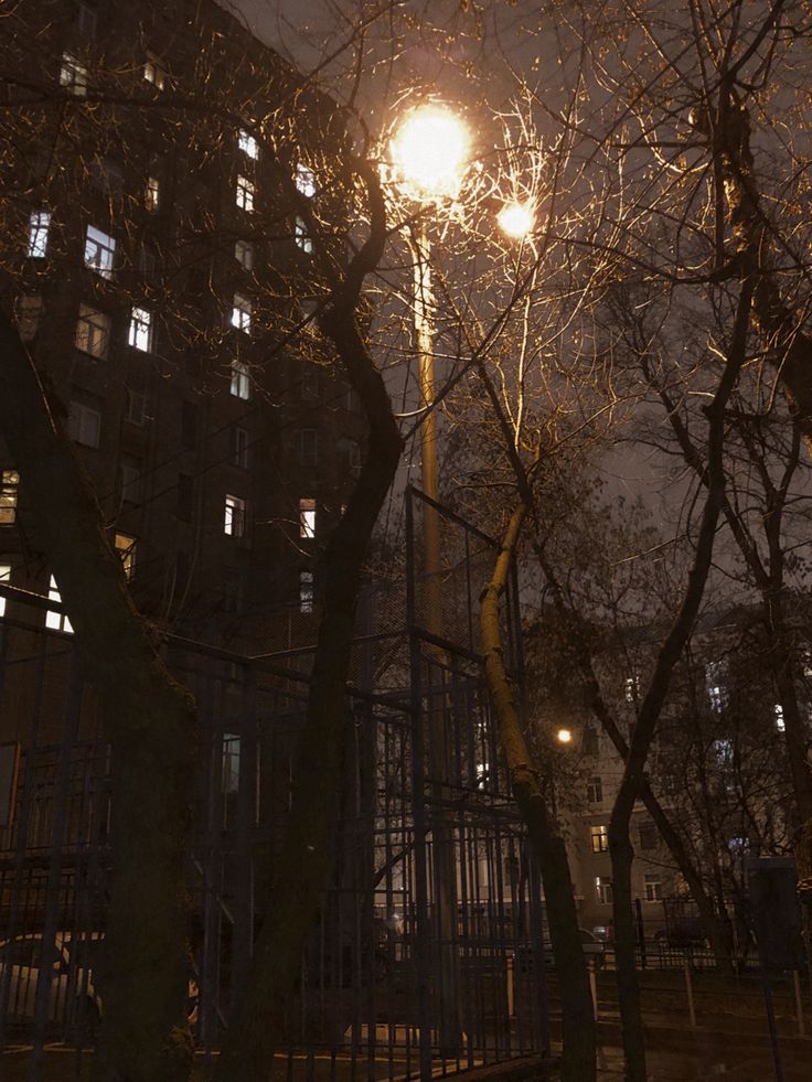 a street light in the middle of a city at night with bare trees and buildings behind it