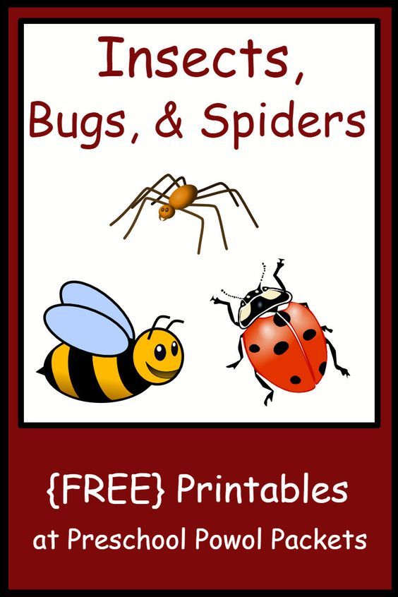 insects, bugs and spideres free printables at preschool powol packetets