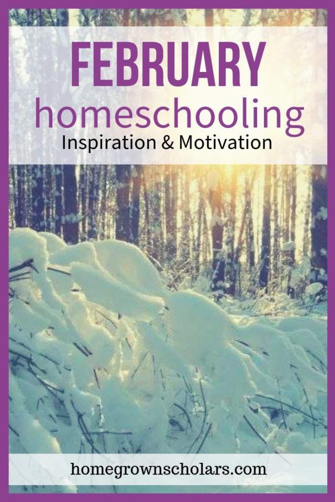 the cover of a book titled, february homeschooling inspiration and motivation