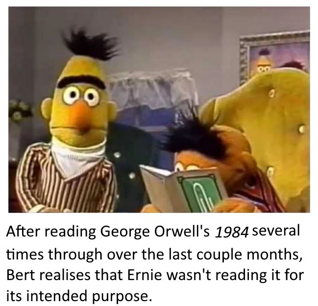 an image of the muppets reading to each other with caption that reads, after reading george orwell's 1994 several times through over the last couple months