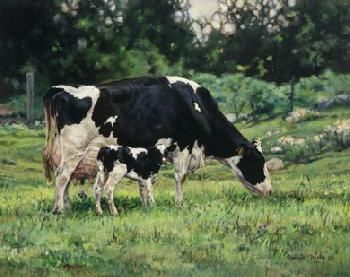 two black and white cows grazing in a field