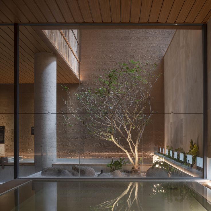 an indoor pool with a tree in it