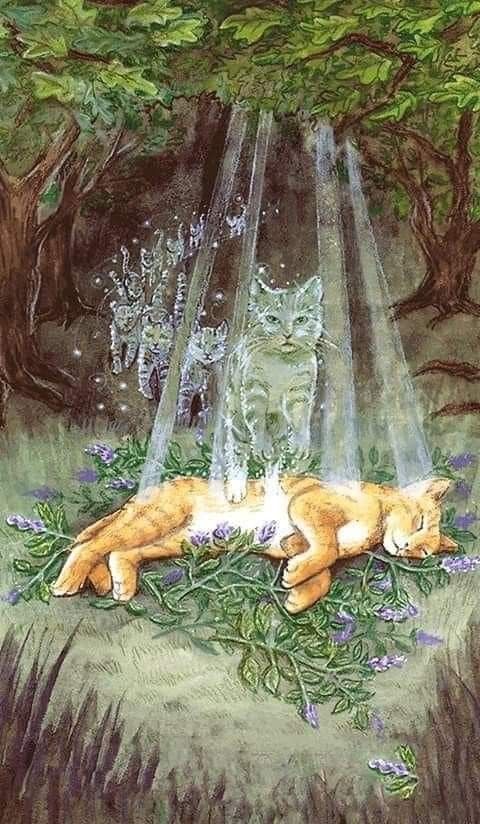 two cats laying in the grass under a tree with water pouring from it's head