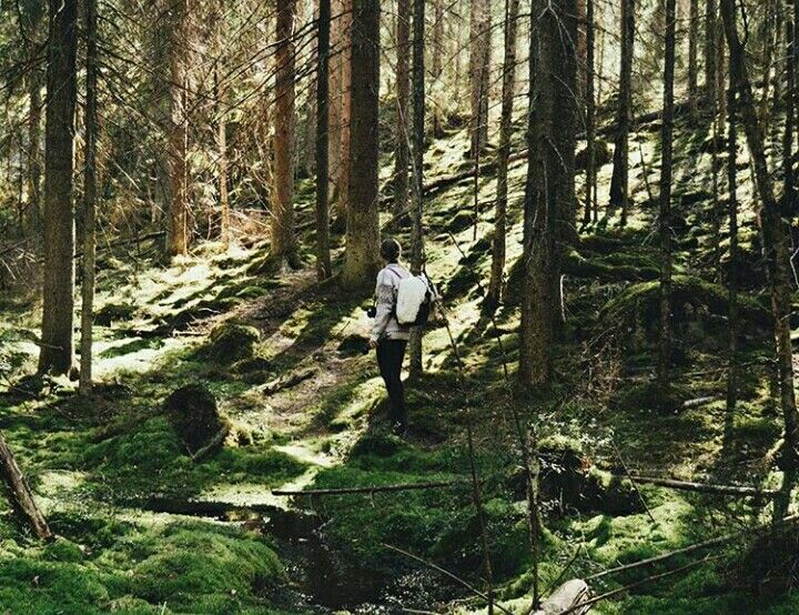 a man is walking through the woods with green mossy ground and trees in the background