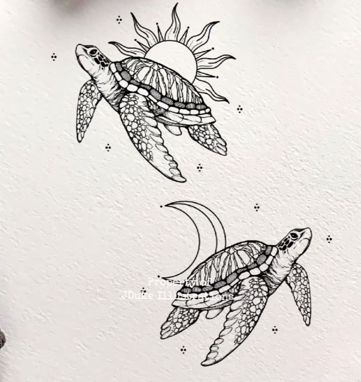 two turtles swimming in the ocean with sun and moon above them