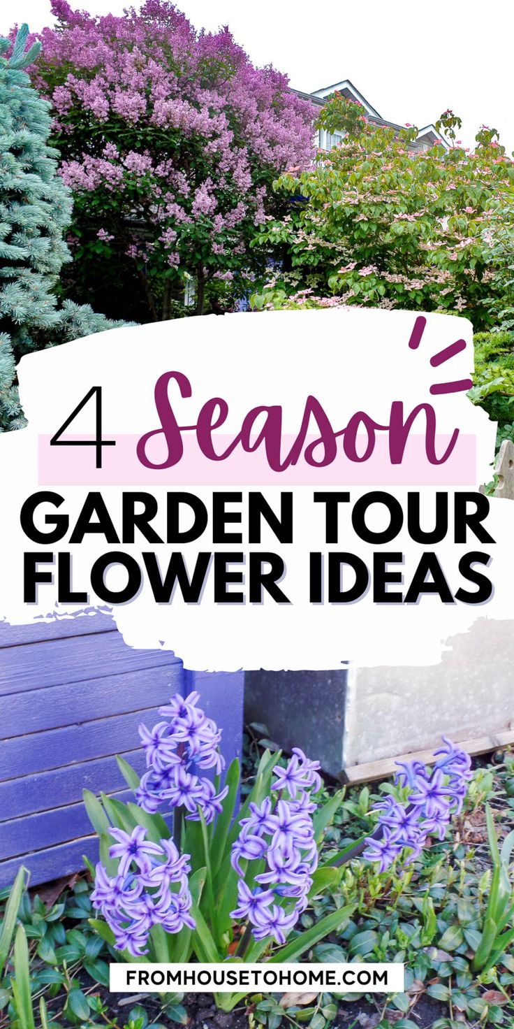 purple flowers with the words 4 season's garden tour flower ideas in front of them