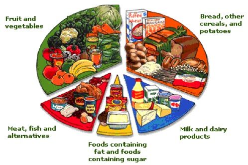 a pie chart with different types of food on it