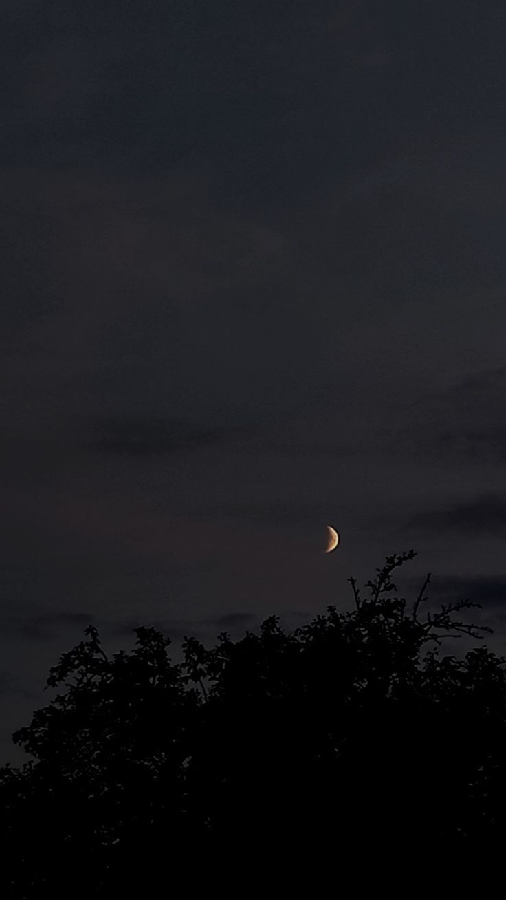 the moon is shining in the dark sky above some tree tops at night with no clouds