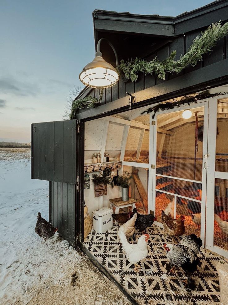 chickens are walking around in the snow near a building with an open door and windows