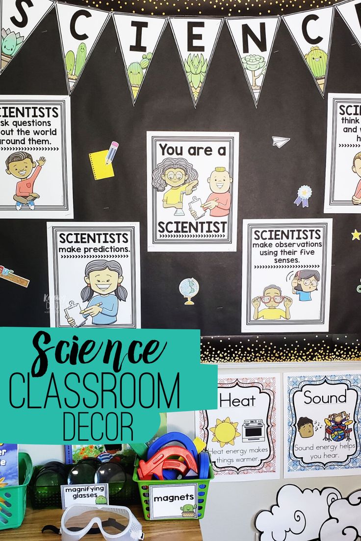 science classroom decor with posters and pictures on the wall