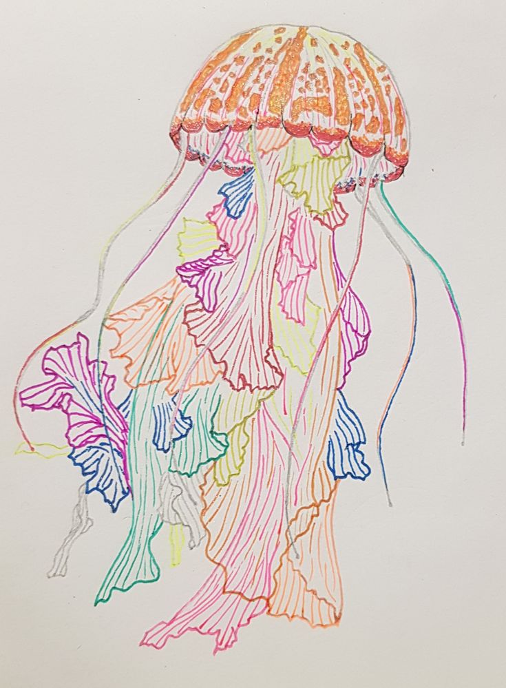 a drawing of a jellyfish with many colors on it's body and head