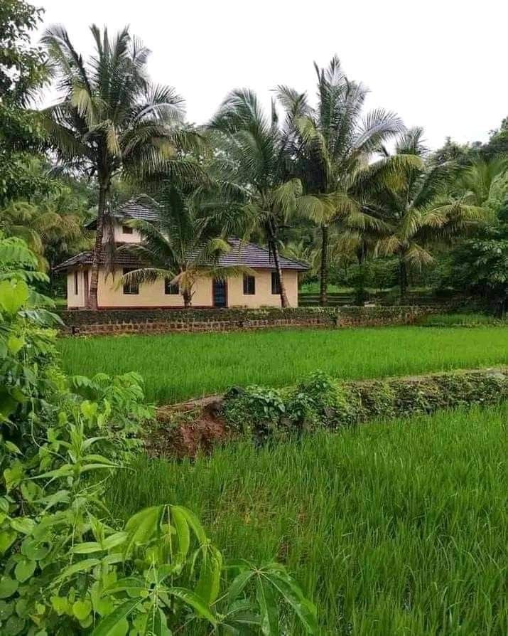 a house in the middle of a lush green field