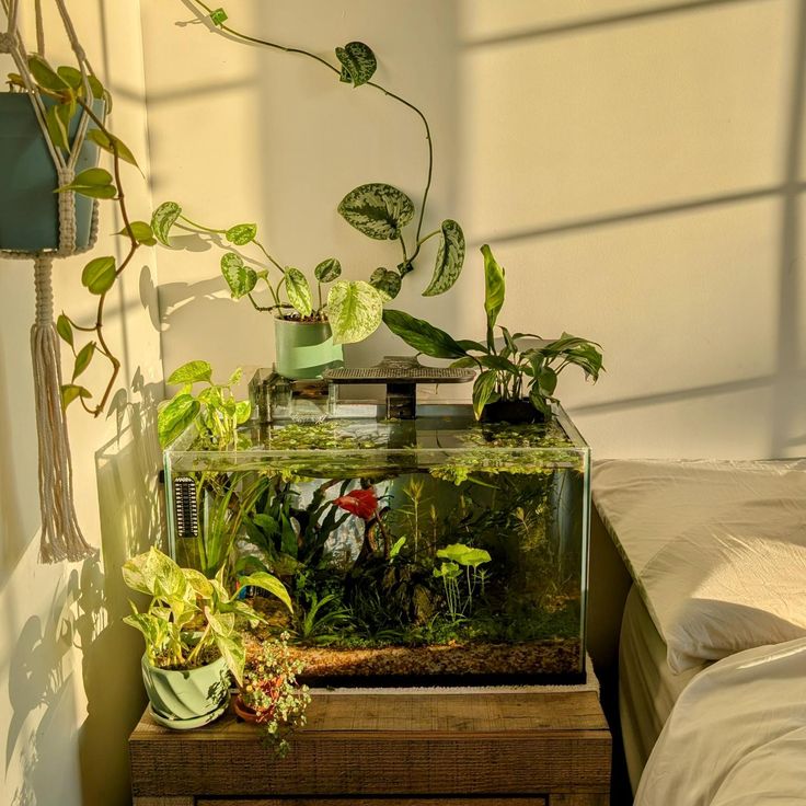 a fish tank filled with plants on top of a wooden table next to a bed