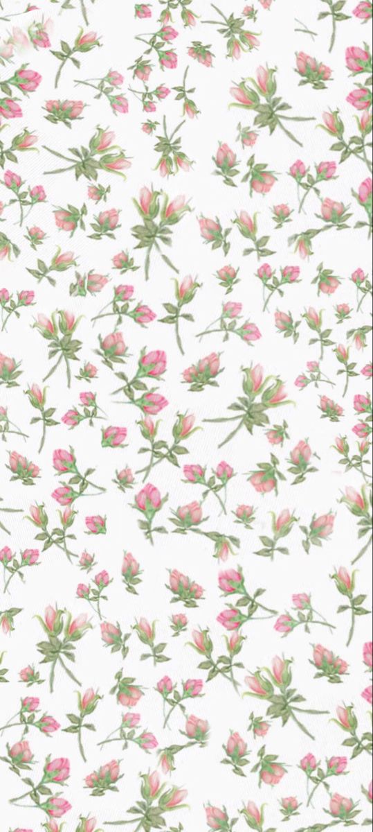 pink flowers on white background with green leaves