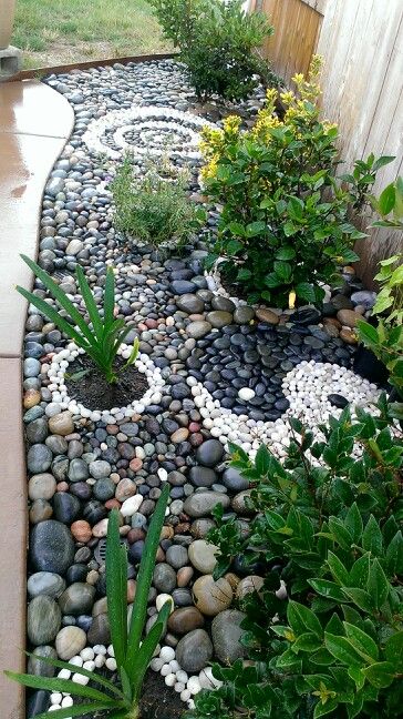 a garden with rocks and plants in it