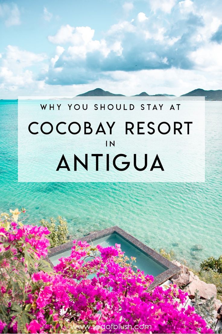 the ocean with pink flowers and text that says why you should stay at coco bay resort in