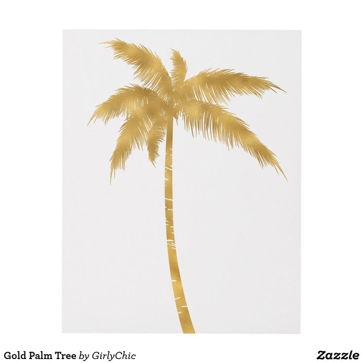 a palm tree is shown against a white background