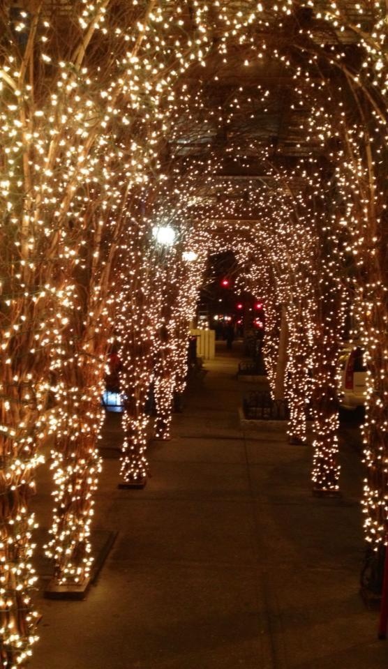 the walkway is covered in lights and trees