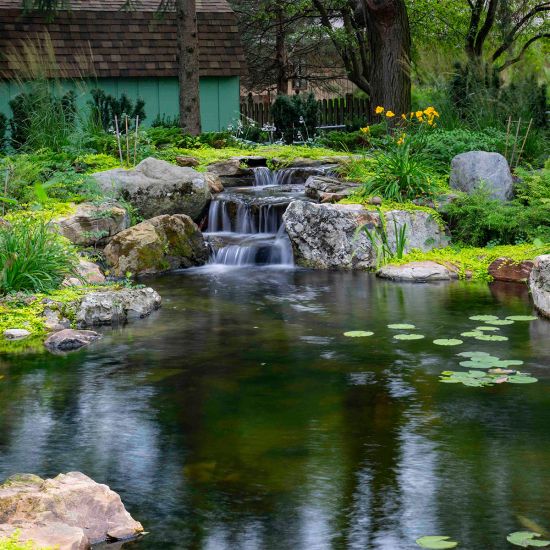 a small waterfall in the middle of a pond surrounded by rocks and water lilies