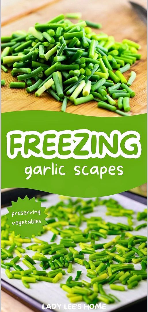 the cover of freezeing garlic scapes by lady lee's home