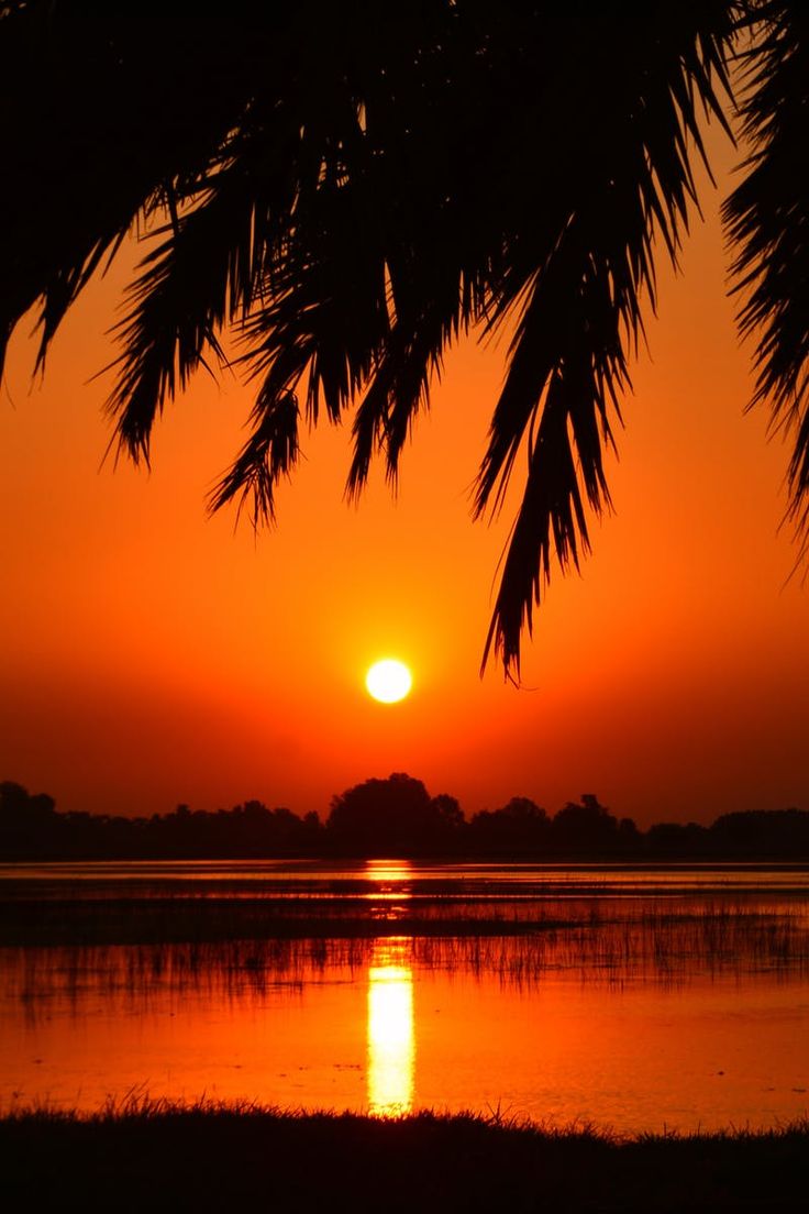 the sun is setting over some water with trees in front of it and an orange sky