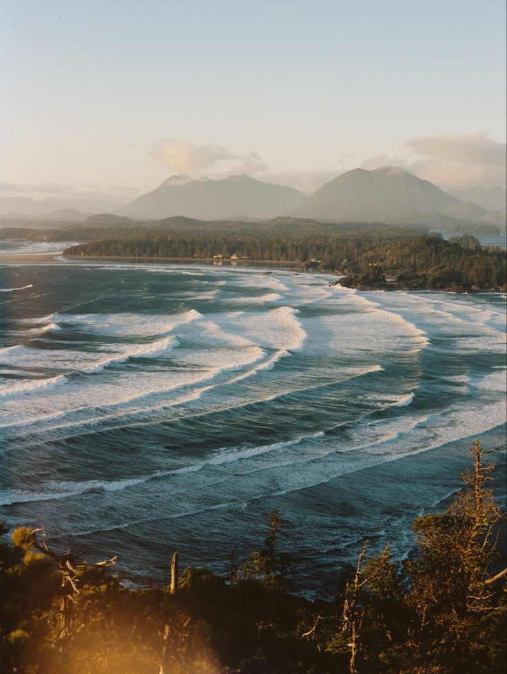 Beach views from a lookout point Life On Film, Vancouver Beach, Tofino British Columbia, Earth Aesthetic, Victoria Vancouver Island, Aesthetic Adventure, Energy Vibration, Tofino Bc, Sailing Trips