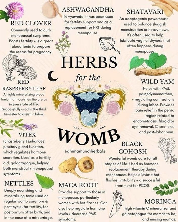 Our wombs are absolutely sacred here are some herbs that you can use to heal and nourish your womb! #womb #wombhealing #wombwisdom #wombwellness #wellnessjourney #yoni #yoniwash #herbs #herbal #organicskincare #organic #organicbeauty Diy Extracts, Healthy Snaks, Red Raspberry Leaf, Womb Healing, Healing Recipes, Magic Herbs, Fertility Boost, Feminine Health, Women Health Care