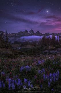 the night sky is full of clouds and stars above some mountains with wildflowers in the foreground