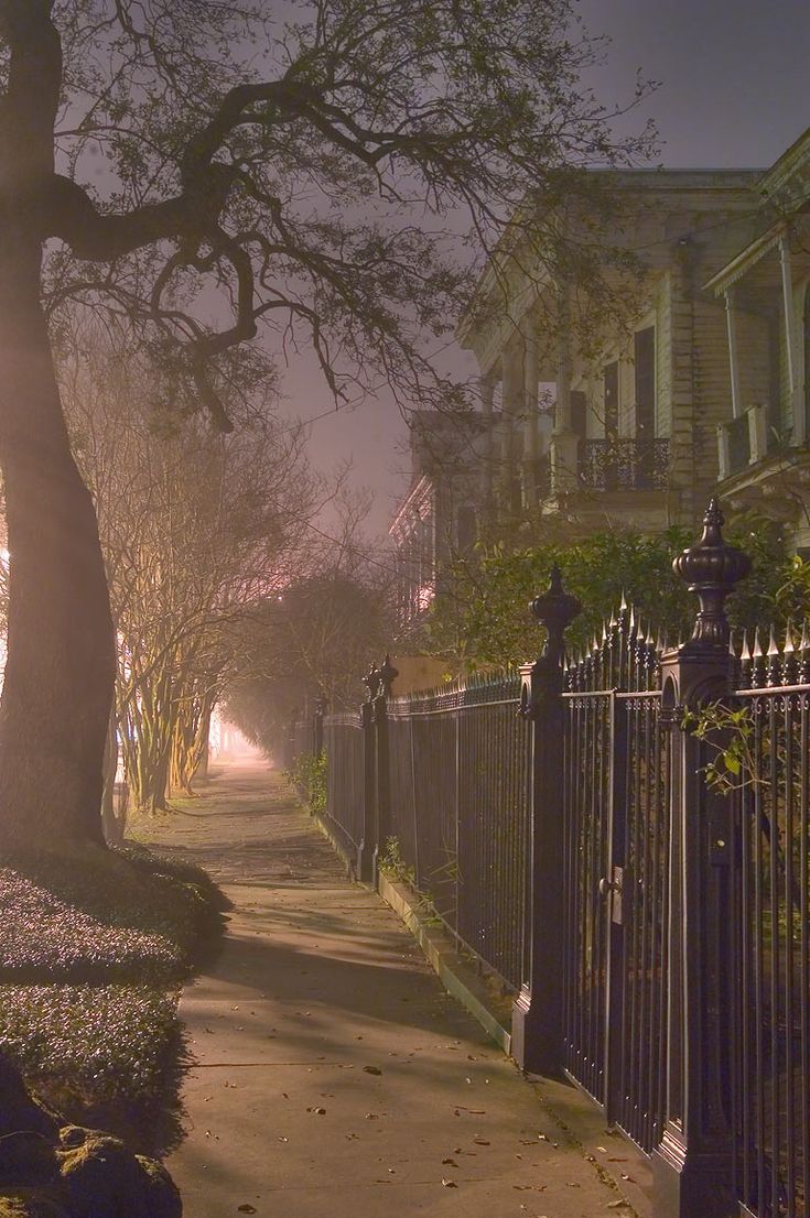 an empty sidewalk in front of a row of houses on a foggy night with the sun shining through the trees